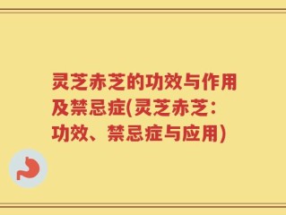 灵芝赤芝的功效与作用及禁忌症(灵芝赤芝：功效、禁忌症与应用)