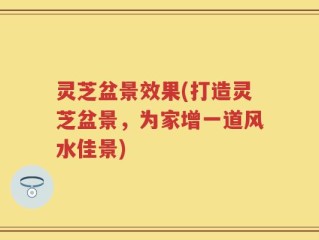 灵芝盆景效果(打造灵芝盆景，为家增一道风水佳景)