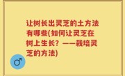 让树长出灵芝的土方法有哪些(如何让灵芝在树上生长？——栽培灵芝的方法)