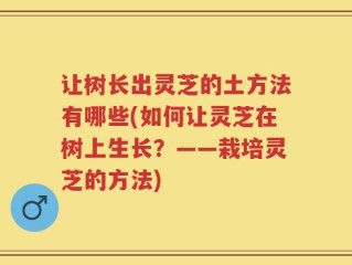 让树长出灵芝的土方法有哪些(如何让灵芝在树上生长？——栽培灵芝的方法)