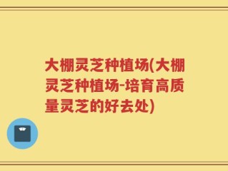 大棚灵芝种植场(大棚灵芝种植场-培育高质量灵芝的好去处)