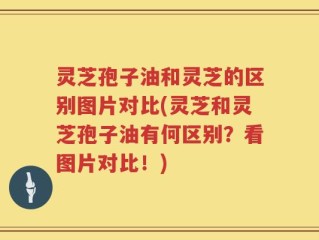 灵芝孢子油和灵芝的区别图片对比(灵芝和灵芝孢子油有何区别？看图片对比！)