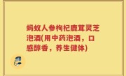 蚂蚁人参枸杞鹿茸灵芝泡酒(用中药泡酒，口感醇香，养生健体)