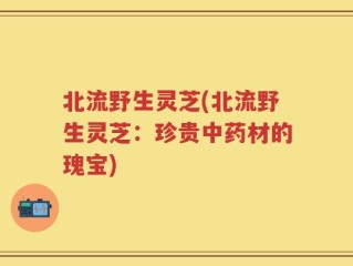 北流野生灵芝(北流野生灵芝：珍贵中药材的瑰宝)
