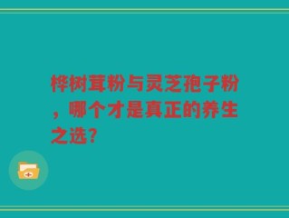 桦树茸粉与灵芝孢子粉，哪个才是真正的养生之选？