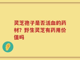 灵芝孢子是否活血的药材？野生灵芝有药用价值吗