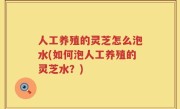 人工养殖的灵芝怎么泡水(如何泡人工养殖的灵芝水？)