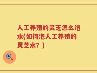 人工养殖的灵芝怎么泡水(如何泡人工养殖的灵芝水？)
