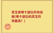 灵芝用哪个部位药效高些(哪个部位的灵芝药效最高？)