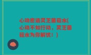 心动密语灵芝菌菇水(心动不如行动，灵芝菌菇水为你解忧！)
