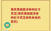 黄芪黄精西洋参枸杞子灵芝(黄芪黄精西洋参枸杞子灵芝调养身体的草药)