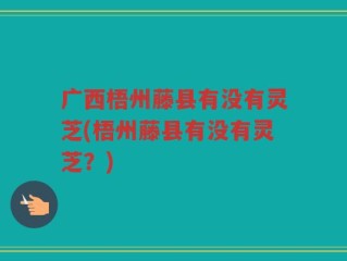 广西梧州藤县有没有灵芝(梧州藤县有没有灵芝？)