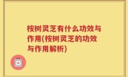桉树灵芝有什么功效与作用(桉树灵芝的功效与作用解析)