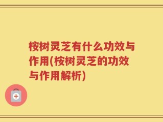 桉树灵芝有什么功效与作用(桉树灵芝的功效与作用解析)