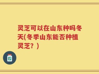 灵芝可以在山东种吗冬天(冬季山东能否种植灵芝？)