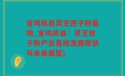 宝鸡凤县灵芝孢子粉基地_宝鸡凤县：灵芝孢子粉产业基地发展现状与未来展望)