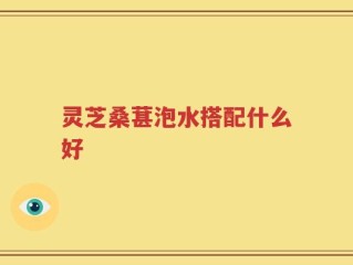 灵芝桑葚泡水搭配什么好