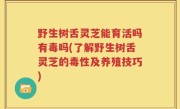 野生树舌灵芝能育活吗有毒吗(了解野生树舌灵芝的毒性及养殖技巧)