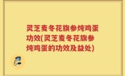 灵芝麦冬花旗参炖鸡蛋功效(灵芝麦冬花旗参炖鸡蛋的功效及益处)