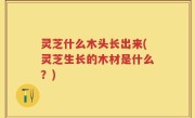 灵芝什么木头长出来(灵芝生长的木材是什么？)