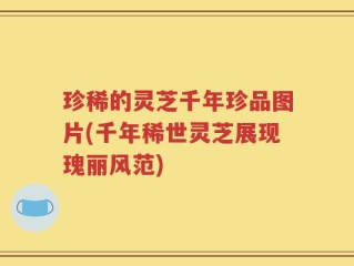 珍稀的灵芝千年珍品图片(千年稀世灵芝展现瑰丽风范)