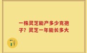 一株灵芝能产多少克孢子？灵芝一年能长多大