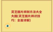灵芝图片辨别方法大全大图(灵芝图片辨识技巧：全面详解)