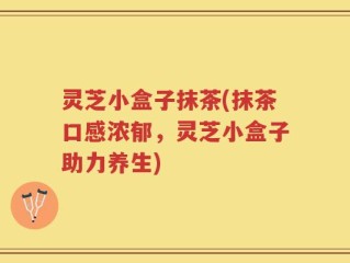 灵芝小盒子抹茶(抹茶口感浓郁，灵芝小盒子助力养生)
