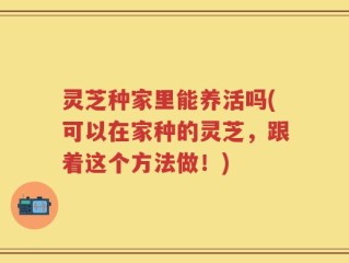 灵芝种家里能养活吗(可以在家种的灵芝，跟着这个方法做！)