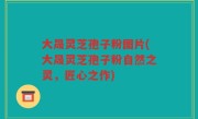 大晟灵芝孢子粉图片(大晟灵芝孢子粉自然之灵，匠心之作)