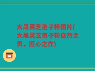 大晟灵芝孢子粉图片(大晟灵芝孢子粉自然之灵，匠心之作)