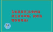 东安蒋灵芝(东安现蒋灵芝名声大噪，促进当地农业升级)