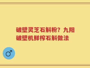 破壁灵芝石斛粉？九阳破壁机鲜榨石斛做法