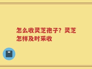 怎么收灵芝孢子？灵芝怎样及时采收