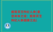 鹿茸灵芝枸杞人参(重塑身体之道：鹿茸灵芝枸杞人参健康之选)