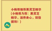 小杨哥推荐黑灵芝精华(小杨哥力荐：黑灵芝精华，滋养身心，双倍提效！)