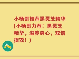 小杨哥推荐黑灵芝精华(小杨哥力荐：黑灵芝精华，滋养身心，双倍提效！)