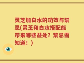 灵芝加白水的功效与禁忌(灵芝和白水搭配能带来哪些益处？禁忌需知道！)