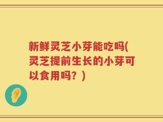 新鲜灵芝小芽能吃吗(灵芝提前生长的小芽可以食用吗？)