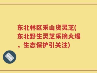东北林区采山货灵芝(东北野生灵芝采摘火爆，生态保护引关注)