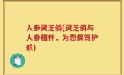 人参灵芝鸽(灵芝鸽与人参相伴，为您保驾护航)