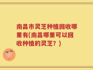南昌市灵芝种植回收哪里有(南昌哪里可以回收种植的灵芝？)