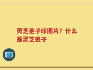灵芝孢子印图片？什么是灵芝孢子