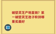 破壁灵芝产地直销？紫一破壁灵芝孢子粉到哪里买最好
