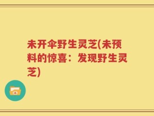 未开伞野生灵芝(未预料的惊喜：发现野生灵芝)
