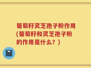 葡萄籽灵芝孢子粉作用(葡萄籽和灵芝孢子粉的作用是什么？)