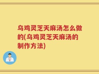 乌鸡灵芝天麻汤怎么做的(乌鸡灵芝天麻汤的制作方法)