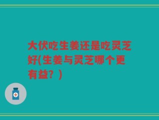 大伏吃生姜还是吃灵芝好(生姜与灵芝哪个更有益？)