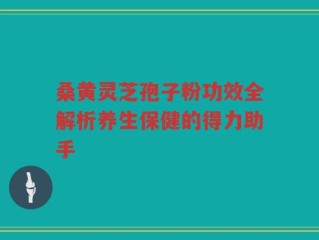 桑黄灵芝孢子粉功效全解析养生保健的得力助手