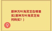 原神万叶海灵芝在哪里买(原神万叶海灵芝如何购买？)